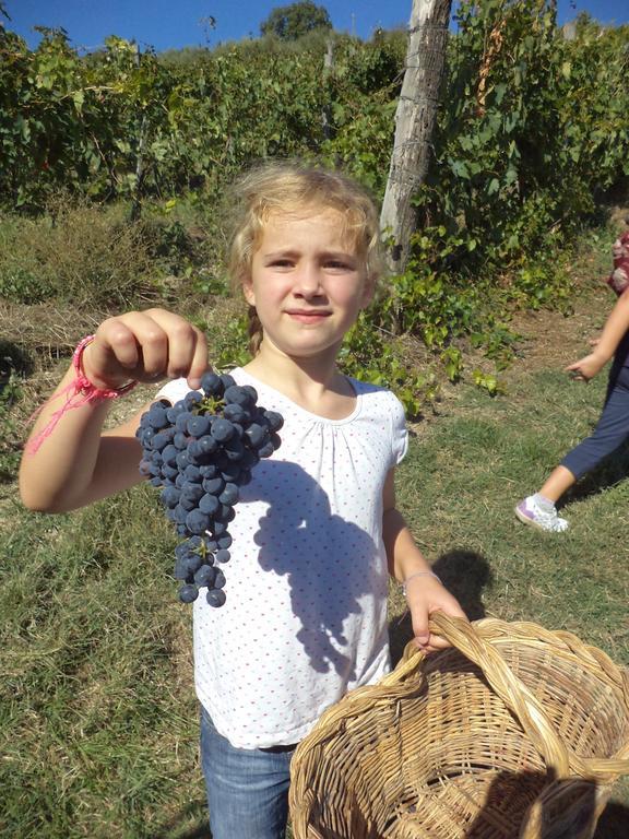 Fattoria Di Castiglionchio Villa Rosano  Ngoại thất bức ảnh