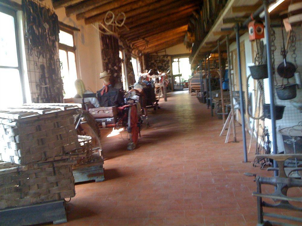 Fattoria Di Castiglionchio Villa Rosano  Ngoại thất bức ảnh
